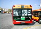 Autobusy-LPP